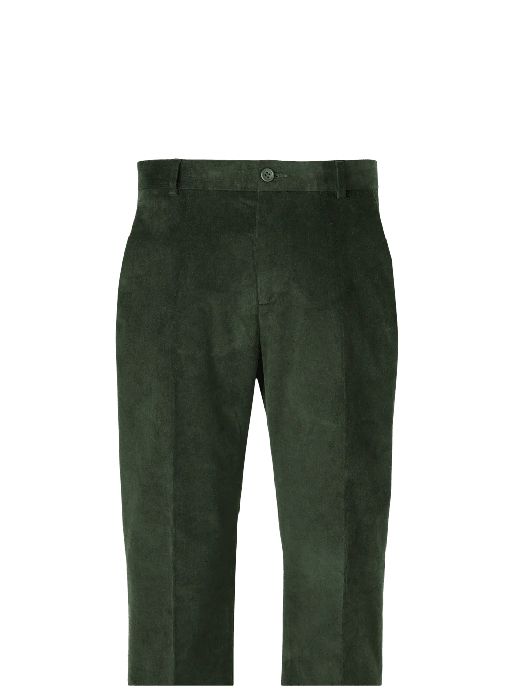 Cotton Stretch Corduroy Pants - Winter White - Image 2