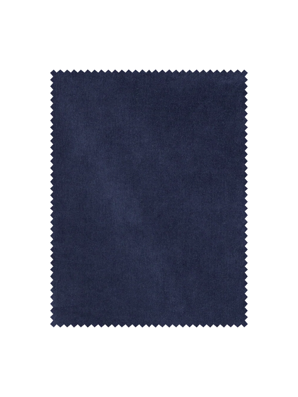 Cotton Stretch Corduroy Pants - Blue - Image 6