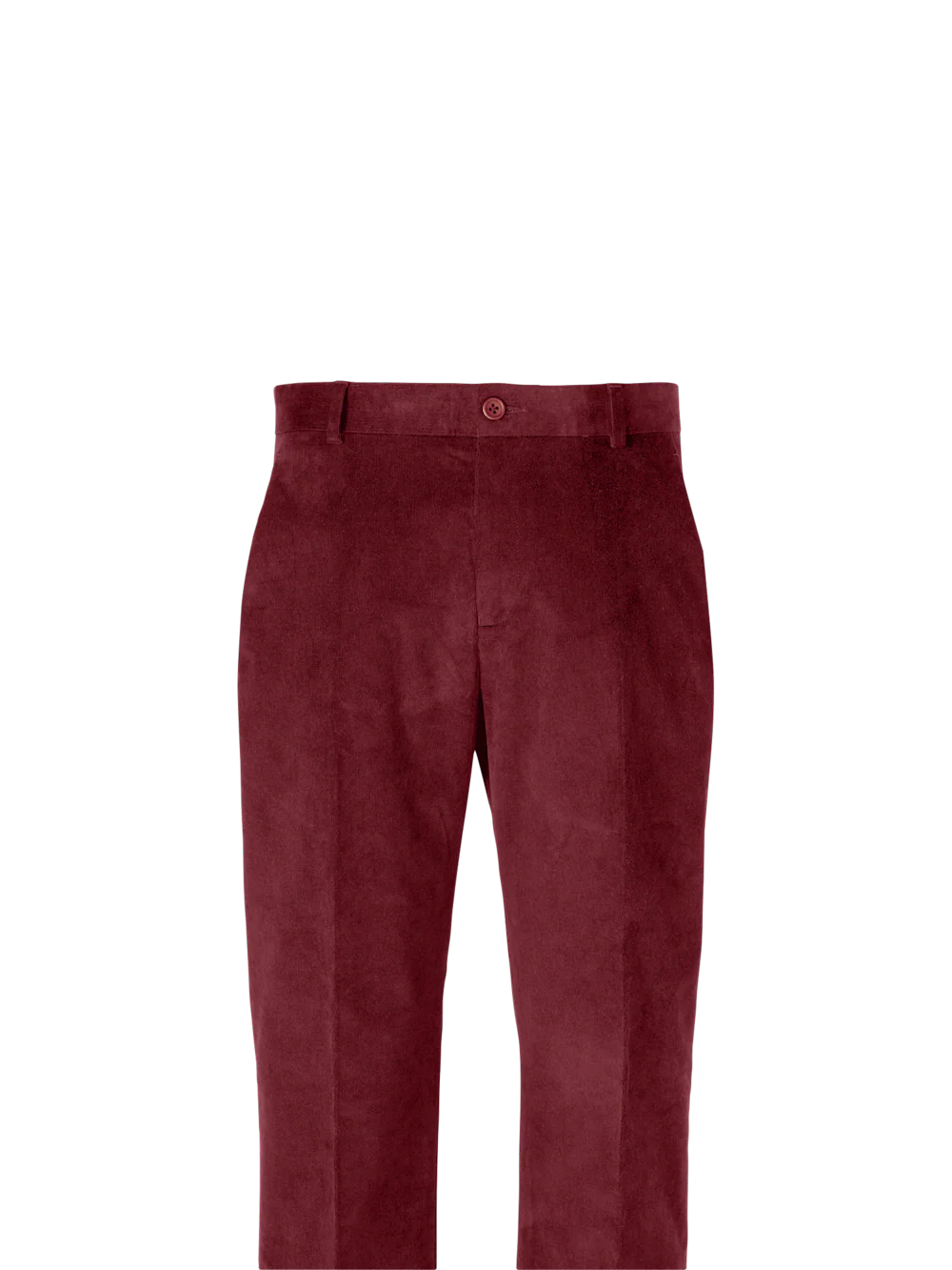 Cotton Stretch Corduroy Pants - Dark Brown - Image 3