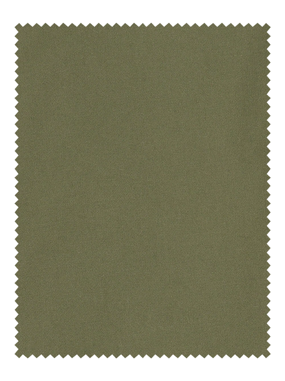 Cotton Stretch Twill Pants - Olive - Image 6