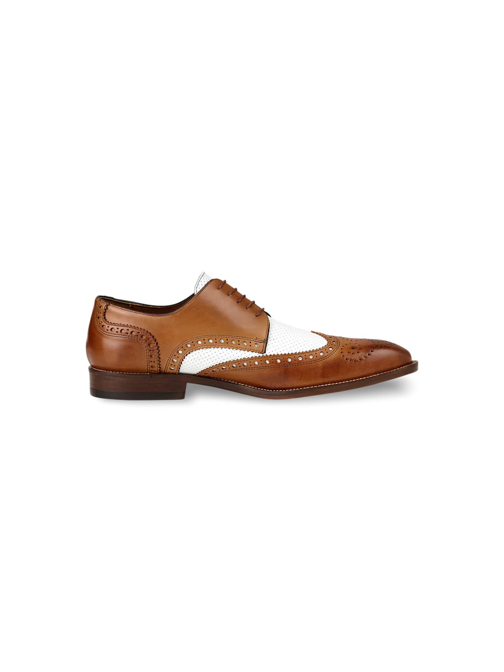 Morris Derby - Chestnut/white - Image 2
